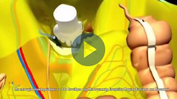 Embedded thumbnail for Με επιτυχία ολοκληρώθηκε το 11ο Συνέδριο της Μεσογειακής Εταιρείας παχέος εντέρου και πρωκτού