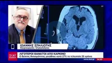 Embedded thumbnail for SKAI ΕΙΔΗΣΕΙΣ - 10/01/19 - Κεντρικό Δελτίο Ειδήσεων – Ιωάννης Σπηλιώτης