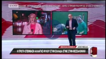 Embedded thumbnail for Χειρουργική επέμβαση αλλαγής φύλου πραγματοποιήθηκε στο Ιατρικό Διαβαλκανικό Θεσσαλονίκης
