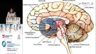 Embedded thumbnail for Αναστασία Κατσίγιαννη - Ολιστική νοσηλευτική προσέγγιση στη χειρουργική ογκολογία